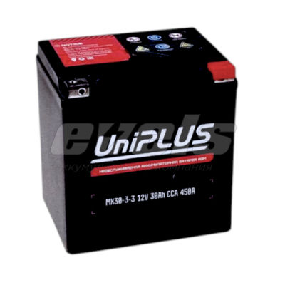 Leoch UniPLUS MX30-3-3 (YTX30L) зал. — основное фото